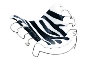 zahnspange-zebra